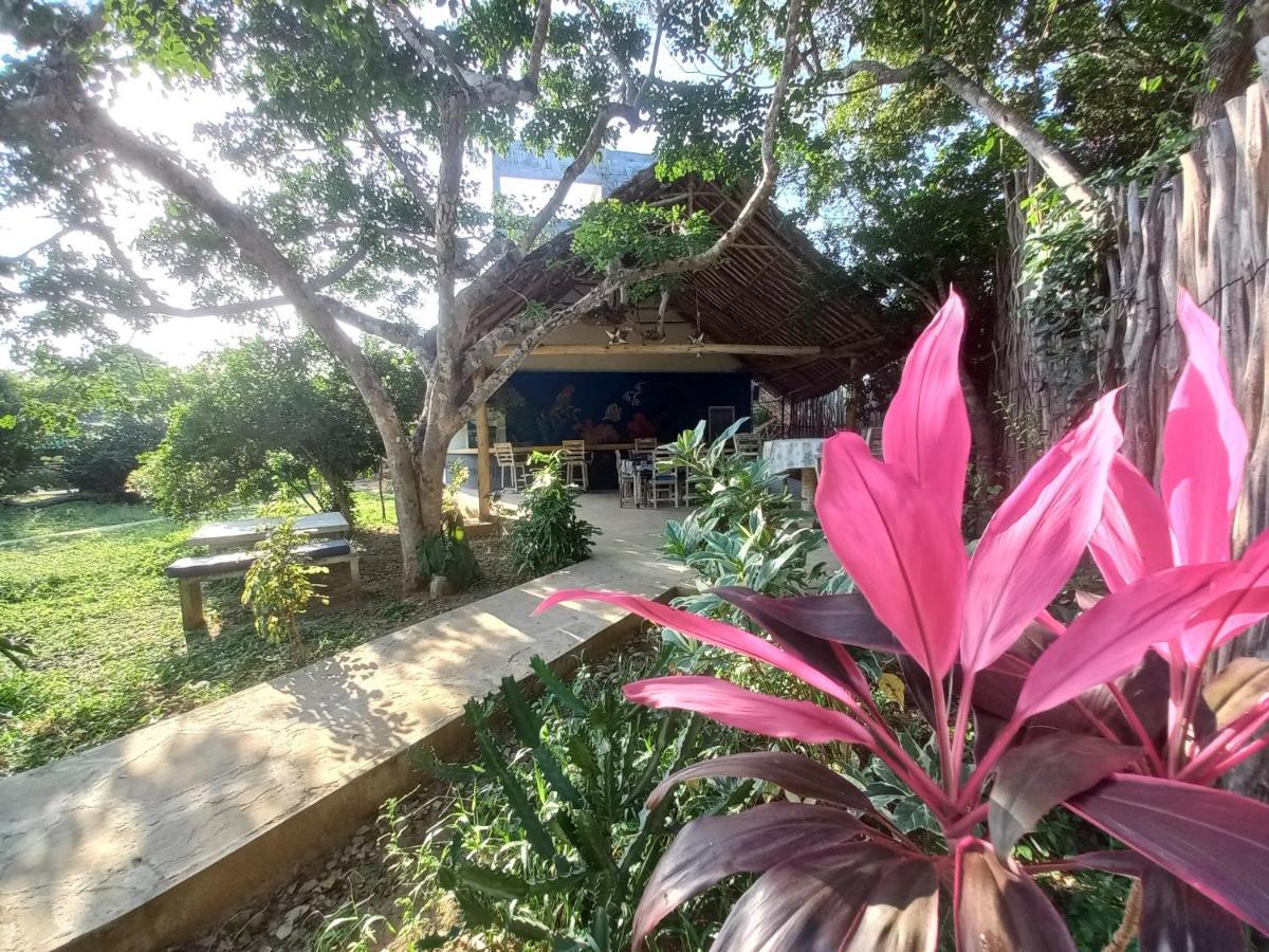 Watamu Beach Cottages B&B Экстерьер фото